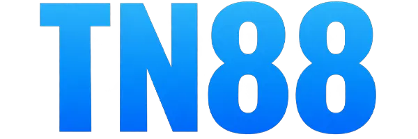 TN888.INFO